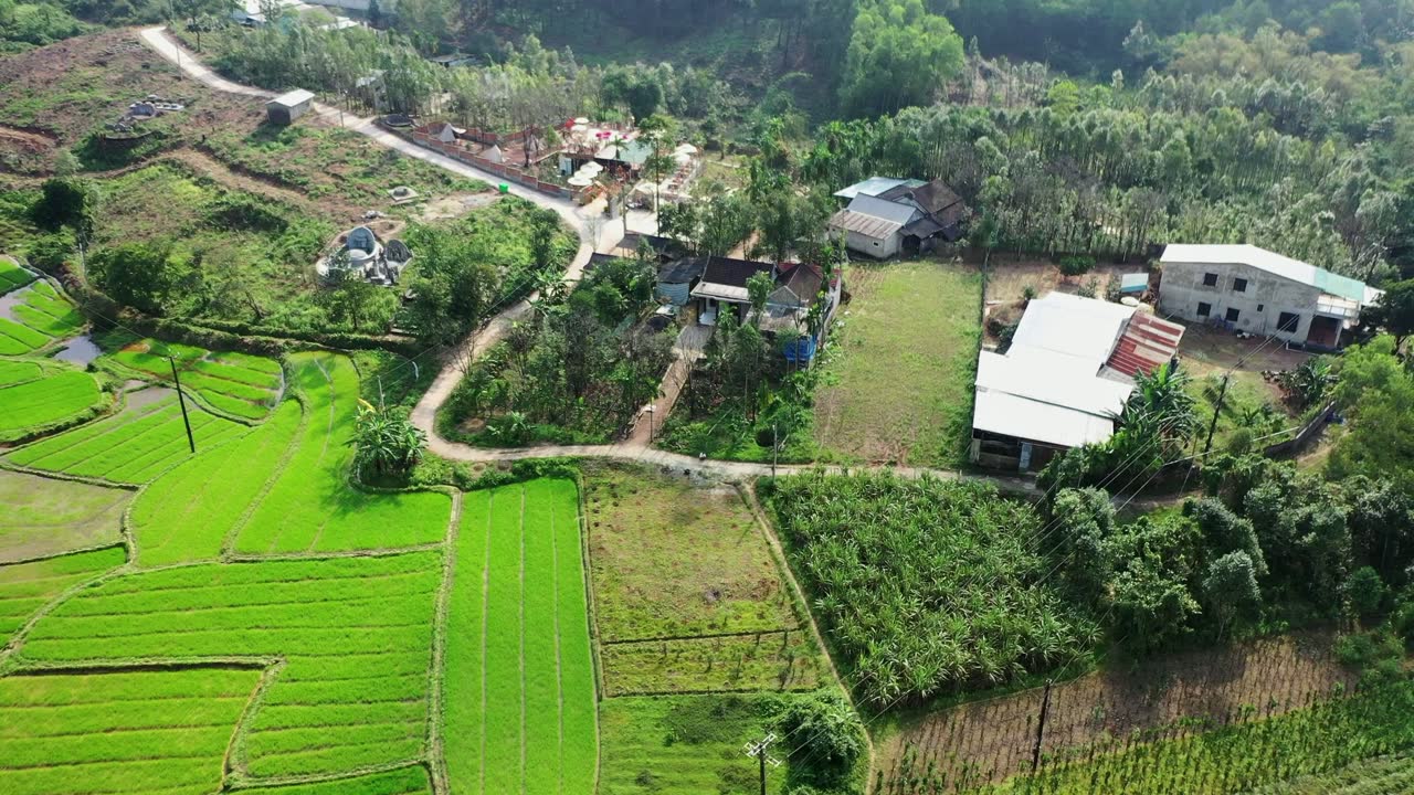 Ruộng xanh ngát